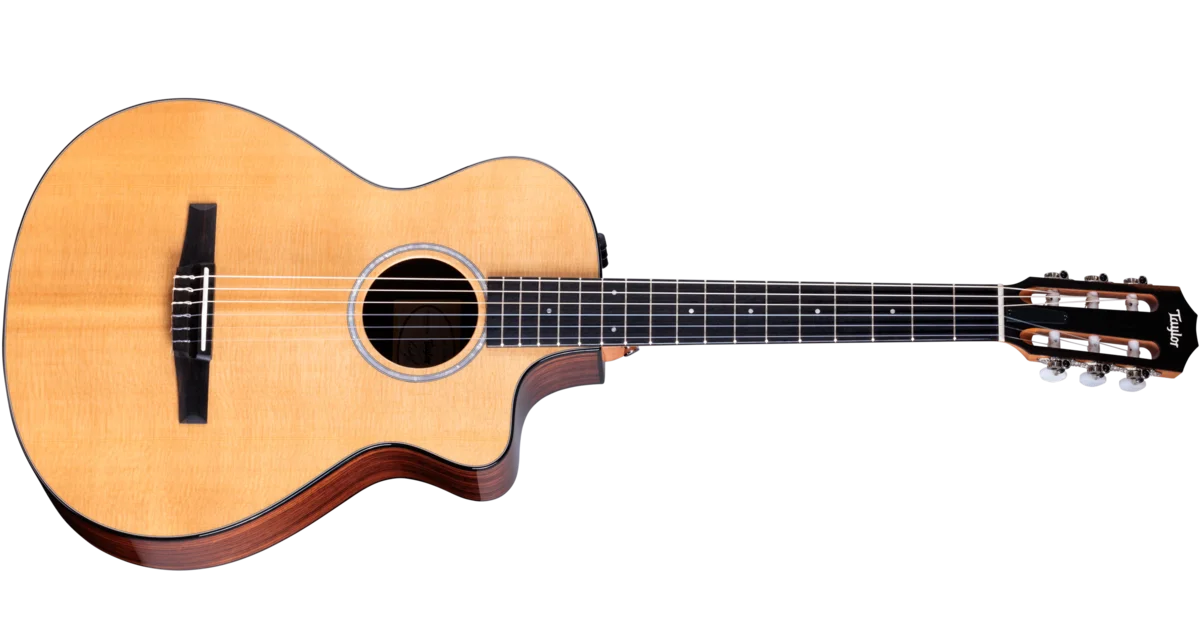 212ce-N PlusIndian Rosewoodアコースティックギター | Taylor Guitars